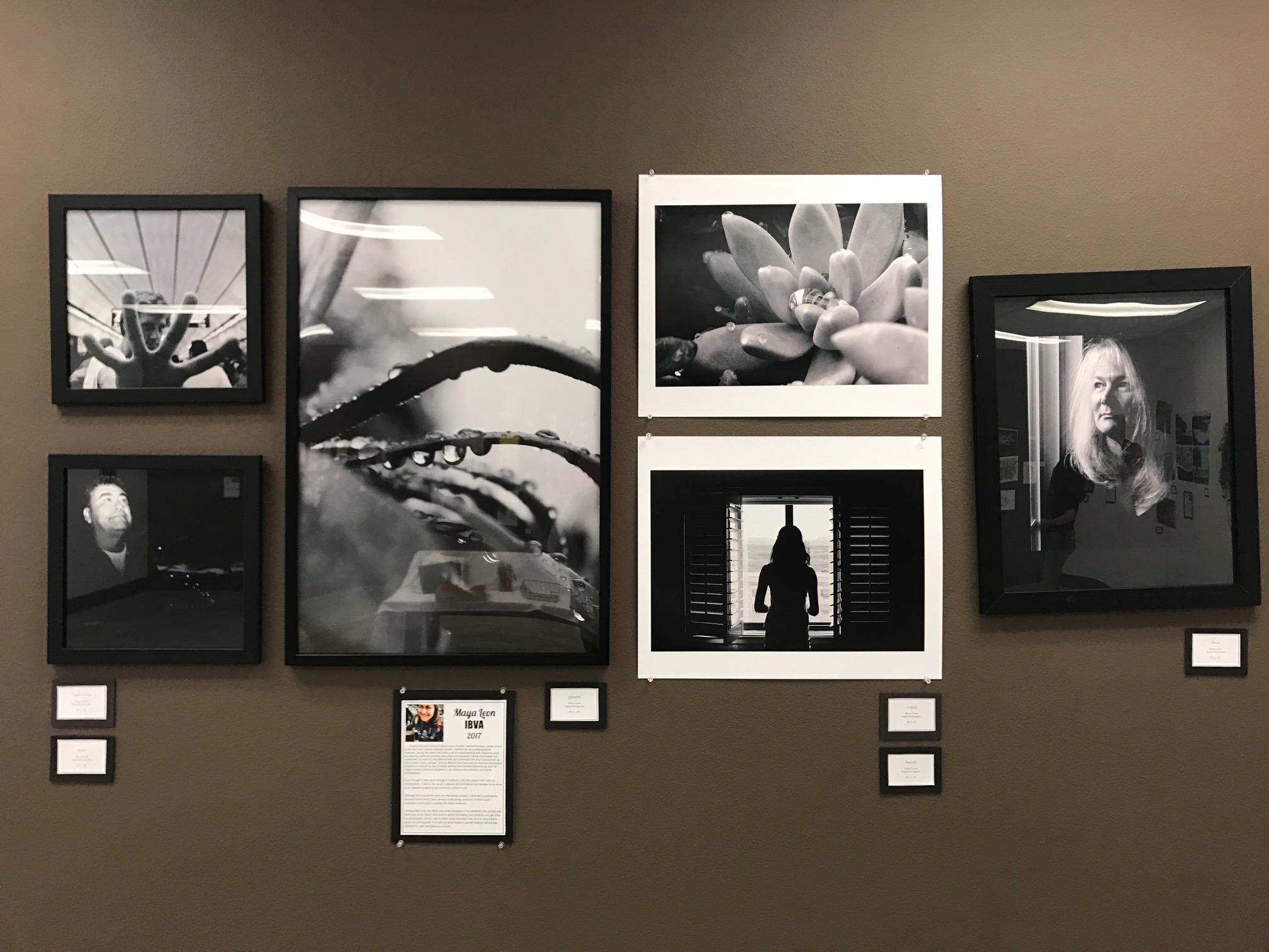 IB Visual Arts Exhibition Shows Student Excellence – THE TRIBE TRIBUNE