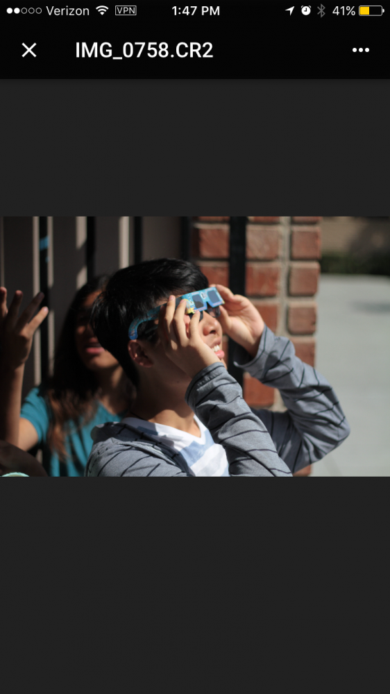 Senior Bill Chen watches the solar eclipse. Photo by Camille Salud.
