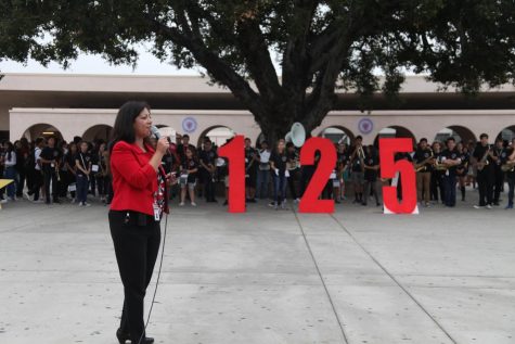 Photo Cred: Margeaux Lau