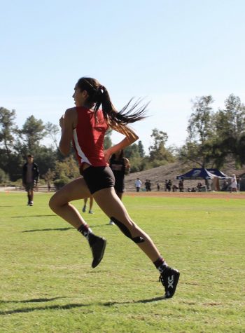 Photo Cred: Rosemary Kehoe