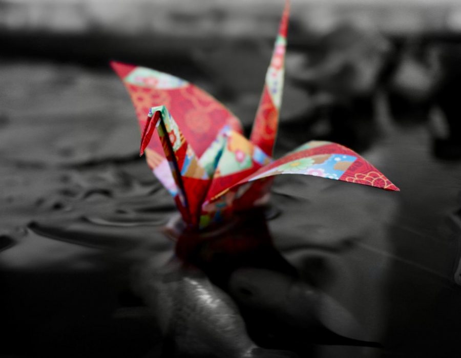 Matsumoto took a photo of an origami swan which also represents Japanese culture. 
Photo courtesy of Ally Matsumoto.
