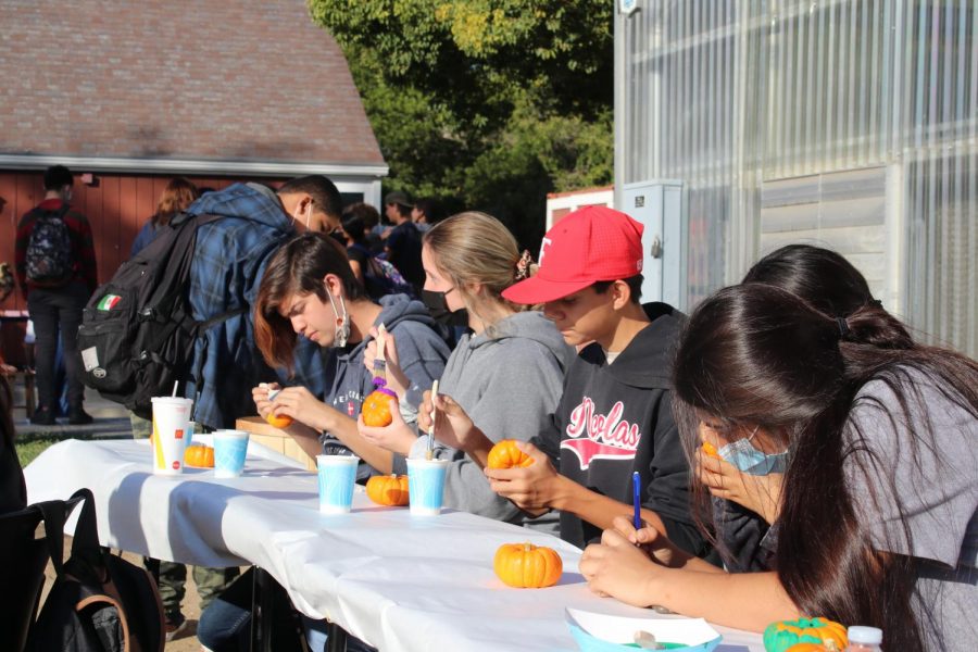 Students painted pumpkins at the FFA Halloween party on Oct. 26.