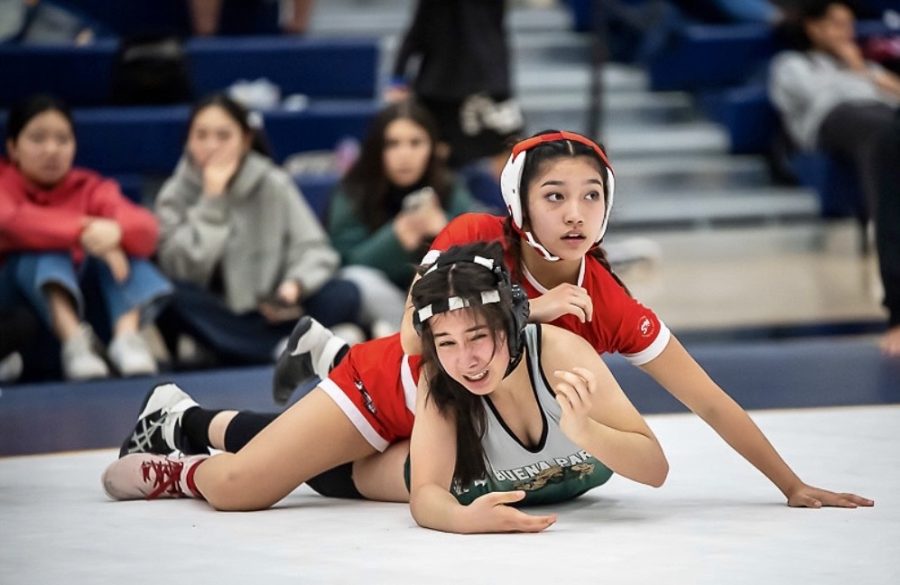 Sophomore Chloe Ortiz took first place in her weight class (106) in the Freeway League finals. (Above) Ortiz clinched her title with a 16-1 tech fall after taking down her Buena Park opponent with a power half. The team finished second in league. Ortiz and the girls wrestling team traveled to San Dimas High School on Feb. 10 for CIF Individuals.