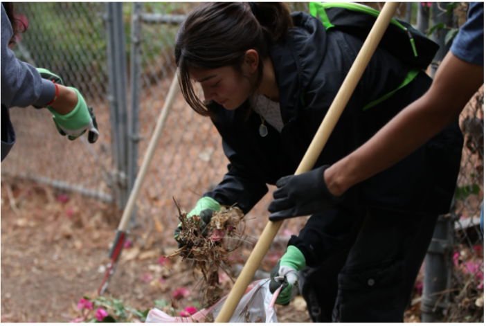 Environmental Science Club president Matia Ornelas clears a pile of leaves on the Lucy Van Der Hoff trail. 
