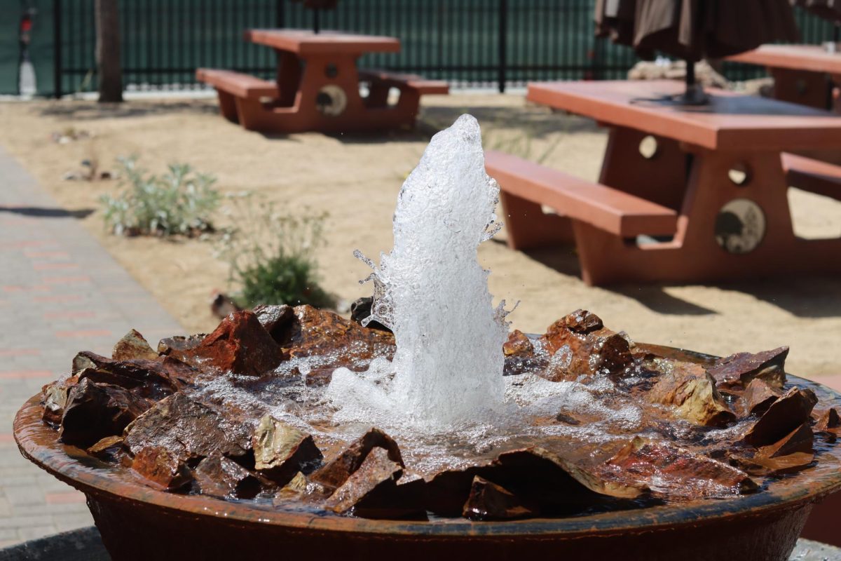 Science teachers reflect on Oak Commons successes