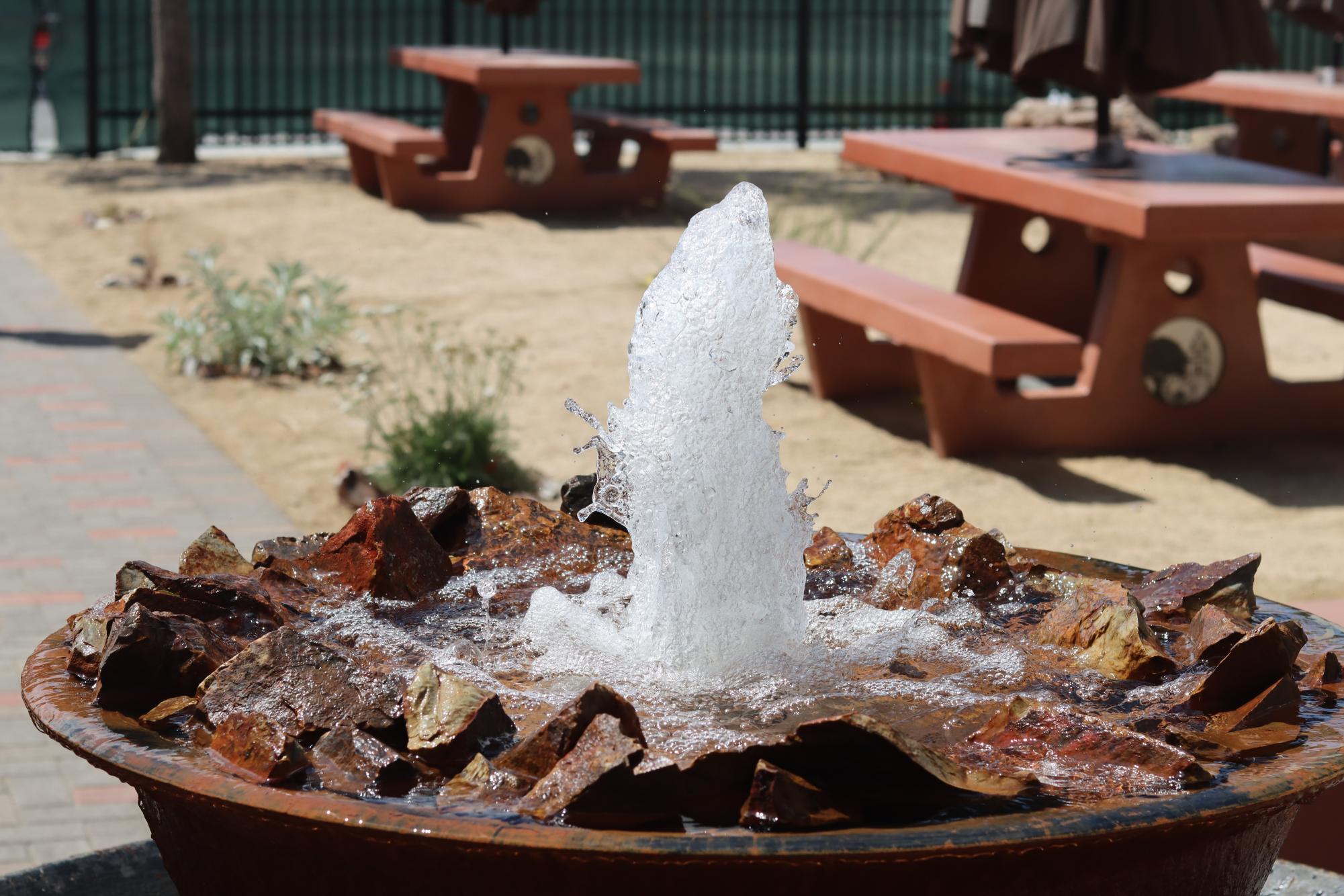 Science teachers reflect on Oak Commons successes