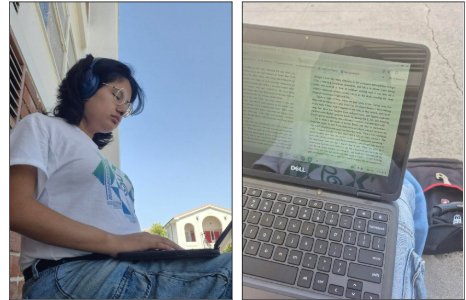 FUHS students can read on their chromebooks for free with SORA.