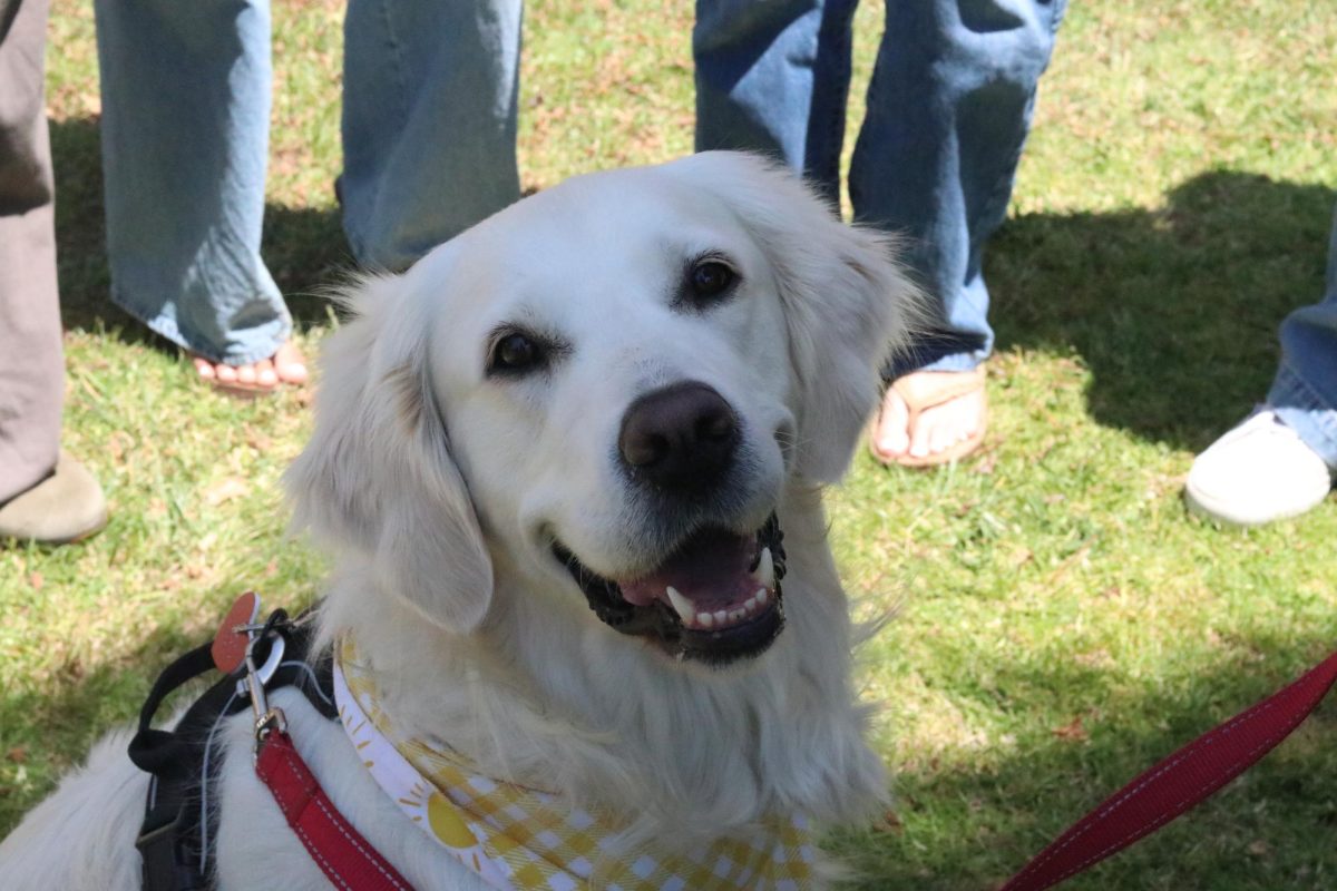 Resources ranging from health care for disadvantaged youth to support groups for LGBTQIA+ youth were available at the Wellness Fair in the quad on May 7. The Pause for Paws Club also arranged for dogs like Ruby (pictured) to demonstrate the calming effect and mental health tool of petting animals.